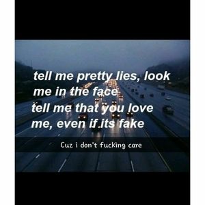 Meet your Posher, Hector